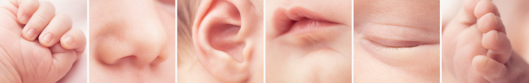 Pink and Cream Cute Illustrative Kimdergarten Teacher Business Card (512 x 512 px) (Witryna internetowa) (12)